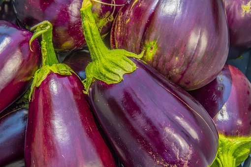 aubergine