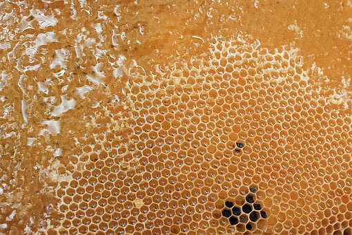 bee-honeycomb