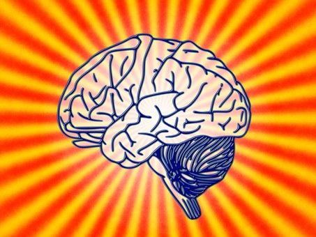 brain