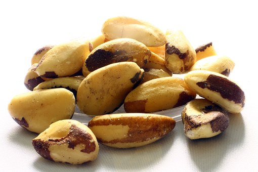 brazil-nut