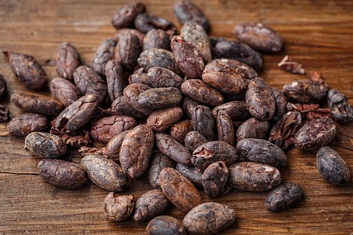 cocoa-beans