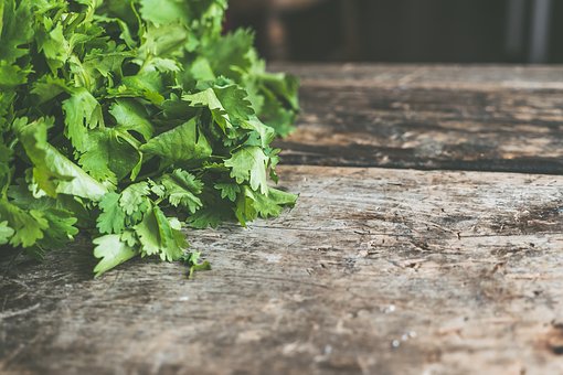 coriander