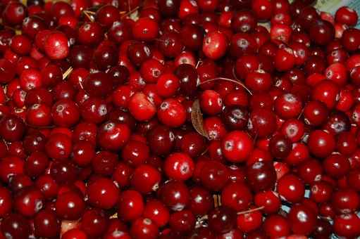 cranberries