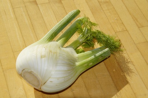 fennel