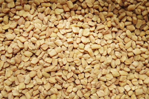 fenugreek