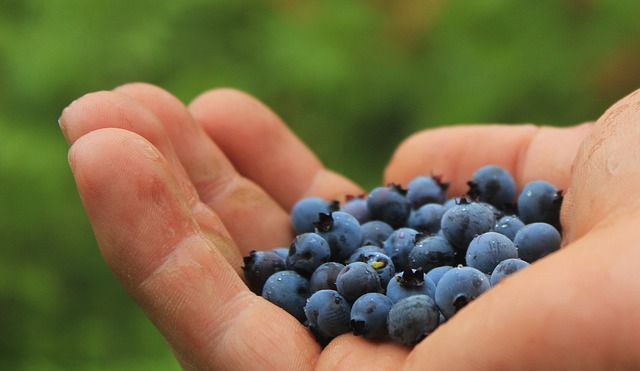 hands-blueberries