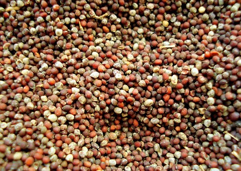 mustard-seeds