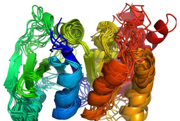 protein-structure