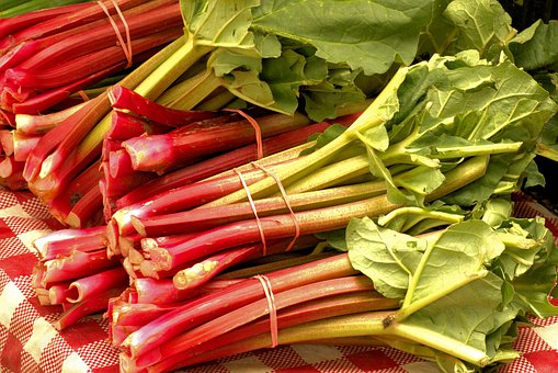 rhubarb