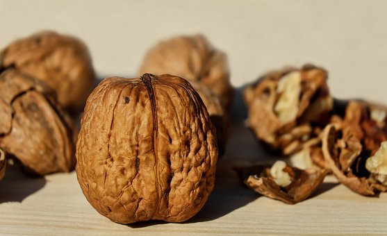 walnut