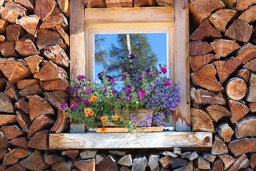 window-stock-flowers